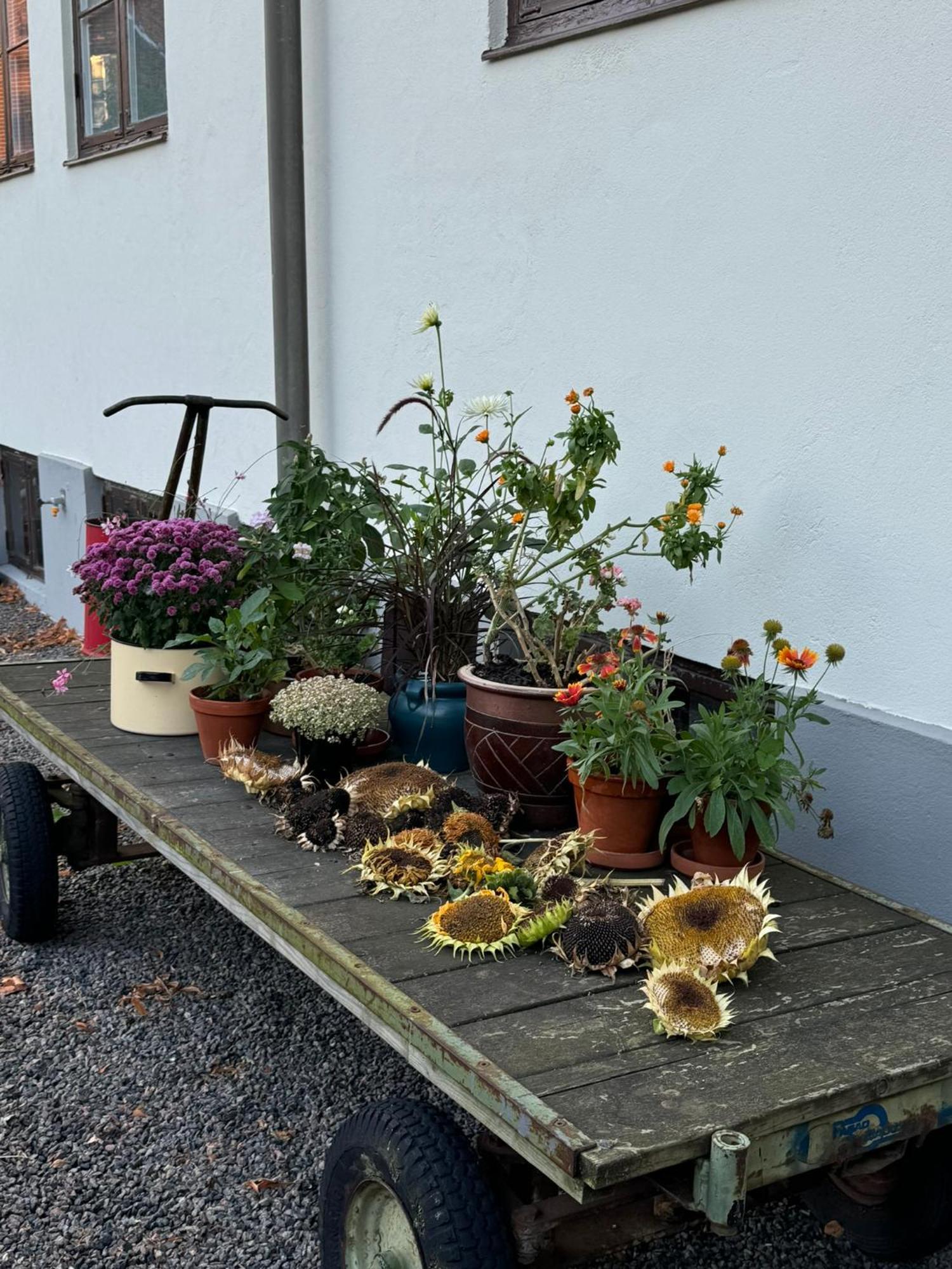 Stf Landskrona Hostel Экстерьер фото